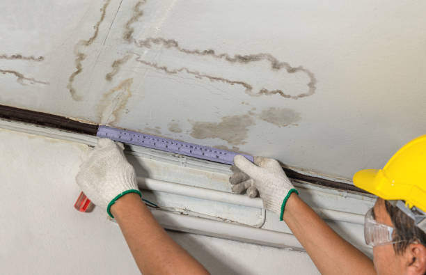 Reliable Flood Cleanup contractor in Proctor, WV by Water Damage Irwin